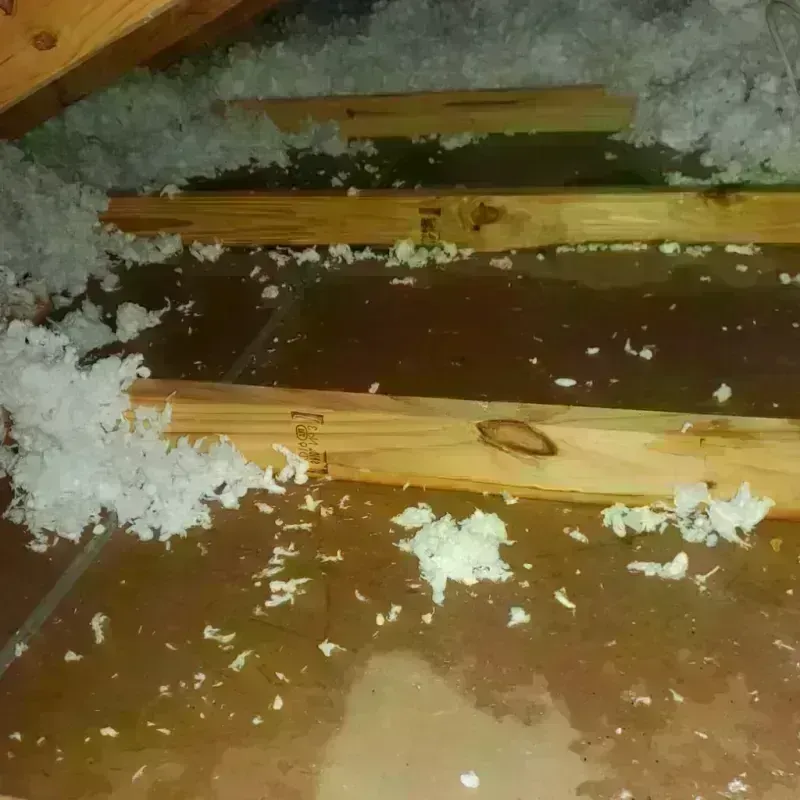 Attic Water Damage in Jackson, NC