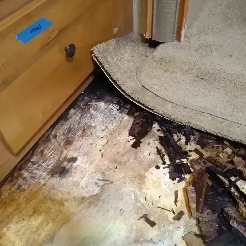 Wood Floor Water Damage in Jackson, NC